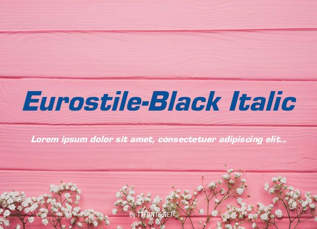 Eurostile-Black Italic example